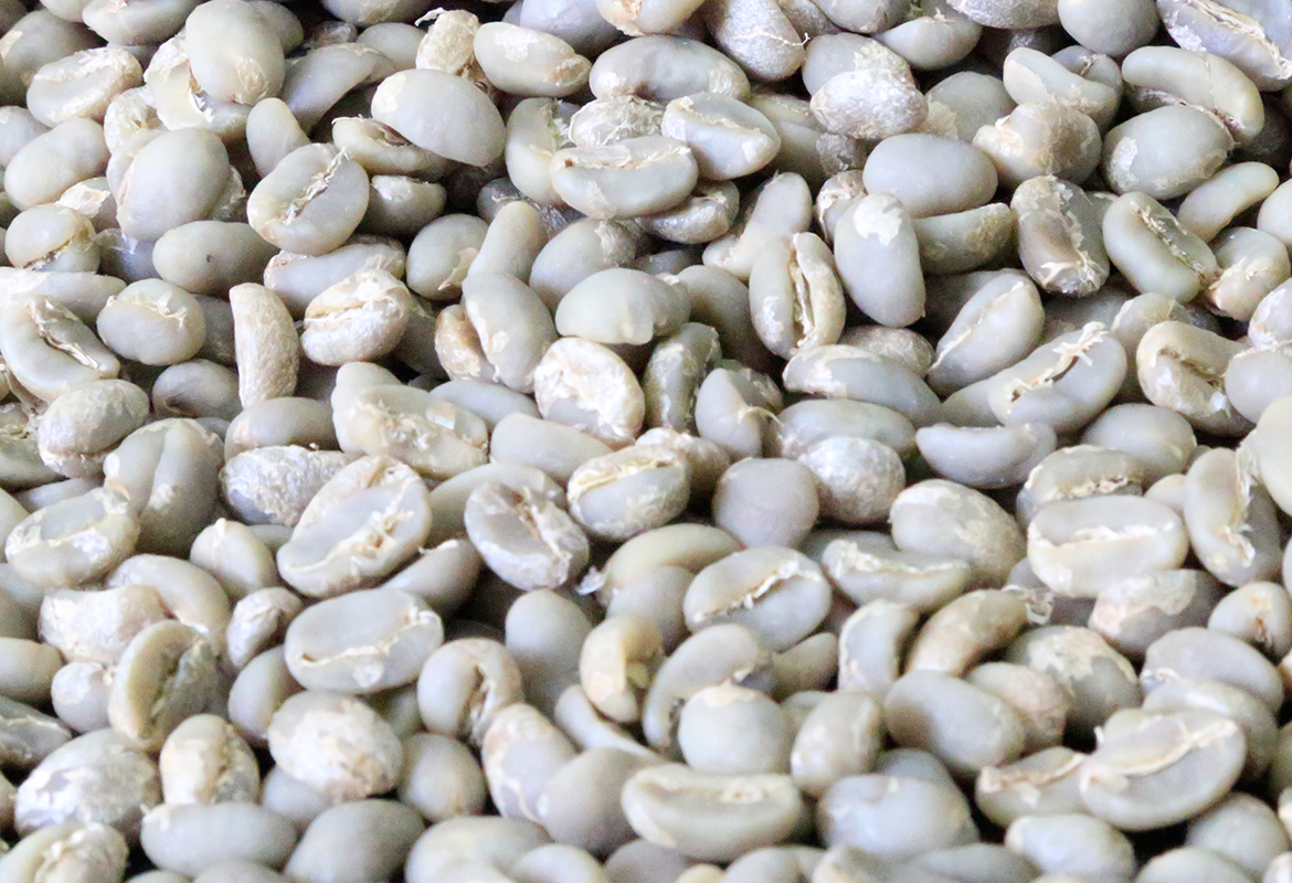 Bebeka Coffee Grade 2