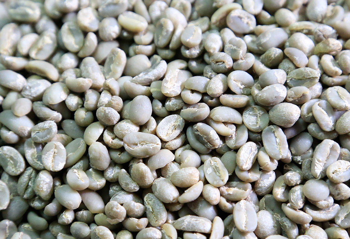 Sidamo Coffee Grade 2