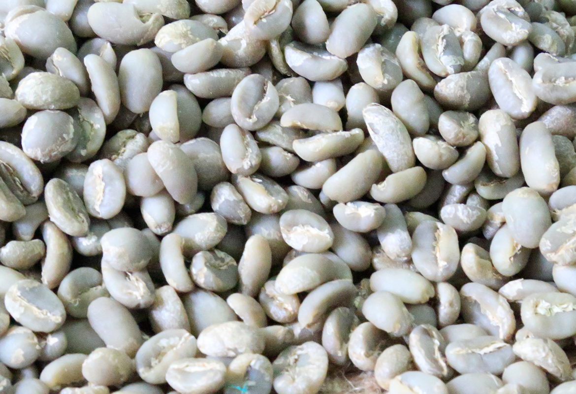 Yirgachafee Coffee Grade 2